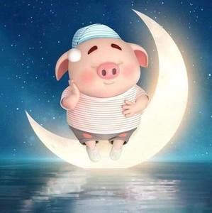 Meet your Posher, Kuy